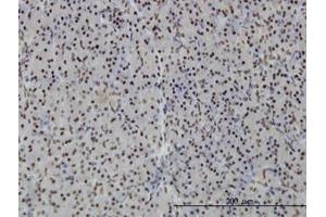 Image no. 1 for anti-Polymerase I and Transcript Release Factor (PTRF) (AA 233-322) antibody (ABIN599342)