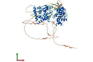AlphaFold protein structure predicition of Mouse Recombinant Ddx31 Protein, UniprotID Q6NZQ2 (DDX31 Protein (AA 1-687) (His tag))