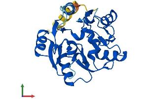 AlphaFold protein structure predicition of Mouse Recombinant Eif6 Protein, UniprotID O55135 (EIF6 Protein (AA 1-245) (His tag))