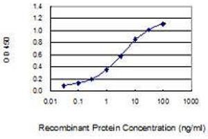 Detection limit for recombinant GST tagged APOB is 0. (APOB antibody  (AA 28-127))