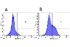 Flow-cytometry using anti-CD52 antibody Campath-1H   Rhesus monkey lymphocytes were stained with an isotype control (panel A) or the rabbit-chimeric version of Campath-1H (panel B) at a concentration of 1 µg/ml for 30 mins at RT. (Recombinant CD52 antibody)