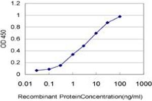Detection limit for recombinant GST tagged ARAF is approximately 0. (ARAF antibody  (AA 151-250))