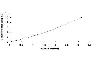 Typical Standard Curve (ADAMTS7 ELISA Kit)