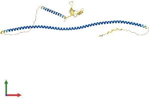 Protein Structure (PS) image for Tuftelin 1 (TUFT1) (AA 1-390) protein (His tag) (ABIN7544855)