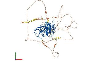 Protein Structure (PS) image for Doublecortin-Like Kinase 3 (DCLK3) (AA 1-790) protein (His tag) (ABIN7558969)