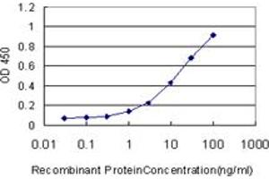 Detection limit for recombinant GST tagged MEF2BNB is approximately 0. (MEF2BNB antibody  (AA 1-119))