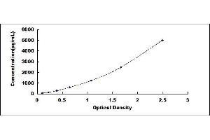 GAS6 ELISA Kit