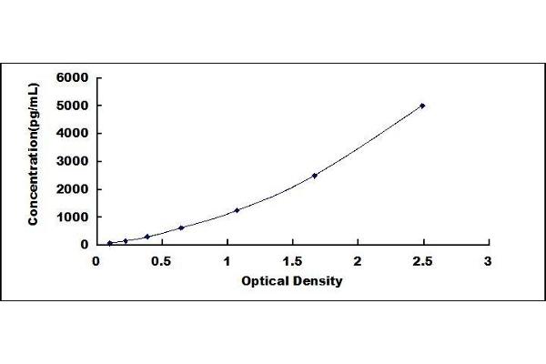 GAS6 ELISA Kit