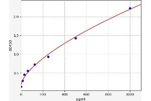 AKT2 ELISA Kit