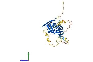 AlphaFold protein structure predicition of Human Recombinant NRIP3 Protein, UniprotID Q9NQ35 (NRIP3 Protein (AA 1-241) (His tag))