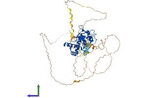 Protein Structure (PS) image for Nuclear Factor I/X (MLZE) (AA 1-502) protein (His tag) (ABIN7549790)