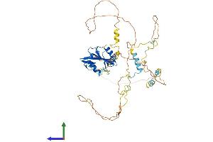 AlphaFold protein structure predicition of Mouse Recombinant Shb Protein, UniprotID Q6PD21 (SHB Protein (AA 1-503) (His tag))
