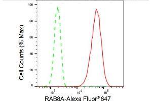 Flow cytometric analysis of RAB8A expression in HepG2 cells using RAB8A antibody (ABIN7800107), 1:2,000).
