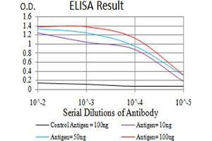 Black line: Control Antigen (100 ng);Purple line: Antigen (10ng); Blue line: Antigen (50 ng); Red line:Antigen (100 ng) (PD-L1 antibody  (AA 24-153))