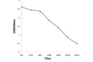 Antigen: 0. (STARD5 antibody  (AA 51-150))