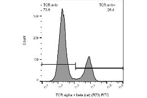 Surface staining of rat splenocytes with anti-rat TCR alpha/beta (R73) FITC. (TCR alpha/beta antibody  (FITC))