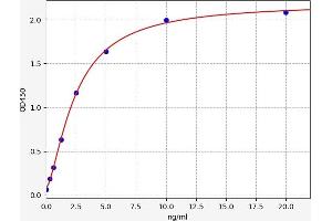 SLC27A1 ELISA Kit