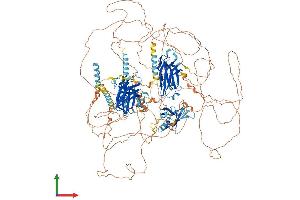 Protein Structure (PS) image for Regulating Synaptic Membrane Exocytosis 2 (RIMS2) (AA 1-1411) protein (His tag) (ABIN7555189)