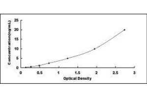 Receptor-Interacting serine-threonine Kinase 3 (RIPK3) ELISA Kit