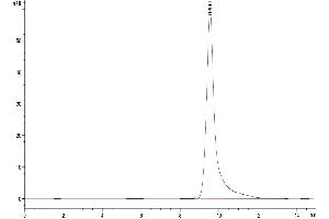 Size-exclusion chromatography-High Pressure Liquid Chromatography (SEC-HPLC) image for Tumor Necrosis Factor Receptor Superfamily, Member 10b (TNFRSF10B) (AA 56-182) protein (His-Avi Tag) (ABIN7275779)