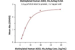 ELISA image for Angiotensin I Converting Enzyme 2 (ACE2) protein (His tag,AVI tag,Biotin) (ABIN6952431)
