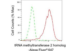 Flow cytometric analysis of tRNA methyltransferase 2 homolog expression in HepG2 cells using tRNA methyltransferase 2 homolog A antibody (ABIN7800983), 1:2,000).