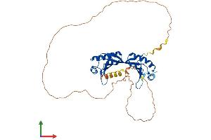 Protein Structure (PS) image for TATA Box Binding Protein Like 2 (Tbpl2) (AA 1-350) protein (His tag) (ABIN7558105)