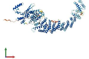 AlphaFold protein structure predicition of Human Recombinant ZSWIM4 Protein, UniprotID Q9H7M6 (ZSWIM4 Protein (AA 1-989) (His tag))