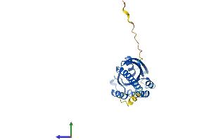 Protein Structure (PS) image for Ras-Like Without CAAX 1 (RIT1) (AA 1-219) protein (His tag) (ABIN7556720)