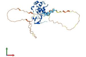 Protein Structure (PS) image for Baculoviral IAP Repeat-Containing 7 (BIRC7) (AA 1-285) protein (His tag) (ABIN7561967)