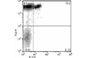 Lymphozytes FL1-H: Mouse anti mouse CD72. (CD72 antibody  (FITC))