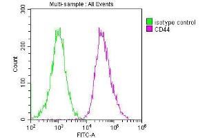 Overlay histogram showing Hela cells stained with ABIN7147160 (red line) at 1:200. (CD44 antibody  (AA 21-220))