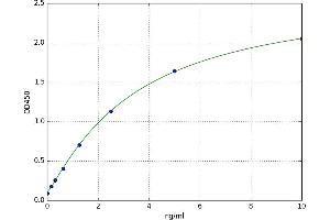 Growth Associated Protein 43 (GAP43) ELISA Kit