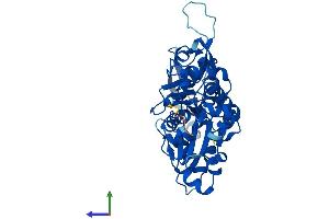 Protein Structure (PS) image for Alpha Centractin (ACTR1A) (AA 1-376) protein (His tag) (ABIN7556572)