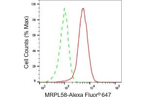 Flow cytometric analysis of MRPL58 expression in HepG2 cells using MRPL58 antibody (ABIN7799758), 1:2,000). (Peptidyl-tRNA Hydrolase ICT1, Mitochondrial antibody)