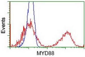 Image no. 2 for anti-Myeloid Differentiation Primary Response Gene (88) (MYD88) antibody (ABIN1499610) (MYD88 antibody)