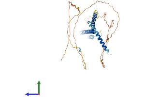 AlphaFold protein structure predicition of Mouse Recombinant Cenpu Protein, UniprotID Q8C4M7 (MLF1IP Protein (AA 1-410) (His tag))