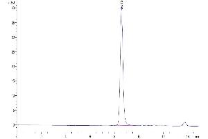 The purity of Mouse Serum Albumin is greater than 95 % as determined by SEC-HPLC. (Albumin Protein (ALB) (AA 25-608) (His tag))