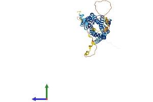 Protein Structure (PS) image for Dopamine Receptor D4 (DRD4) (AA 1-387) protein (His tag) (ABIN7563379)