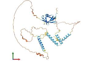 AlphaFold protein structure predicition of Human Recombinant HERPUD1 Protein, UniprotID Q15011