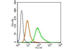 Human Hela cells probed with c-Fos (Ser32) Polyclonal Antibody, Alexa Fluor 488 conjugated (bs-3152R-A488) (green) at 1:100 for 30 minutes compared to unstained cells (blue) and isotype control (orange). (c-FOS antibody  (pSer32) (Alexa Fluor 488))