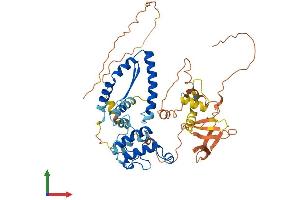 Protein Structure (PS) image for Nuclear Respiratory Factor 1 (NRF1) (AA 1-503) protein (His tag) (ABIN7549820)