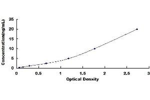 Typical standard curve (VCP ELISA Kit)