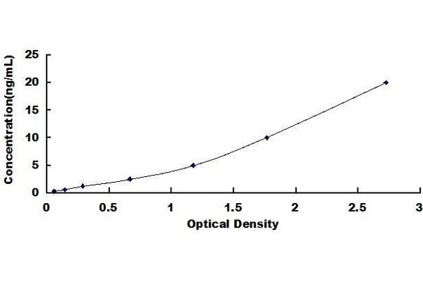 VCP ELISA Kit