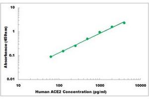 Representative Standard Curve (ACE2 ELISA Kit)