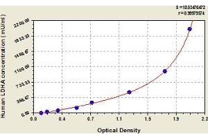 Typical Standard Curve (Lactate Dehydrogenase A ELISA Kit)