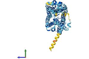 AlphaFold protein structure predicition of Human Recombinant SLC22A11 Protein, UniprotID Q9NSA0 (SLC22A11 Protein (AA 1-550) (His tag))