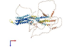 AlphaFold protein structure predicition of Mouse Recombinant Kcnq3 Protein, UniprotID Q8K3F6