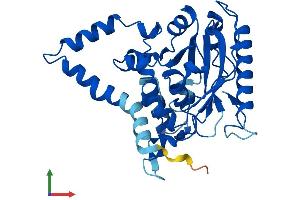 AlphaFold protein structure predicition of Human Recombinant AWAT1 Protein, UniprotID Q58HT5