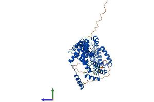 AlphaFold protein structure predicition of Mouse Recombinant Rgs6 Protein, UniprotID Q9Z2H2 (RGS6 Protein (AA 1-472) (His tag))